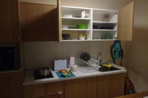 una cucina con lavandino e piano di lavoro di Marvelous apartment in the center of Prague a Praga