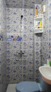 a bathroom with a shower with a toilet and a sink at Ryan S3 in Fès +30 photos