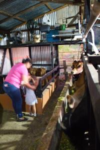 Uma mulher e uma mulher num celeiro com vacas. em Eco Granja Don Lolo em Quesada