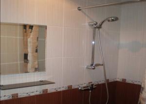 a shower in a bathroom with a mirror at Vabriku Guesthouse in Tallinn