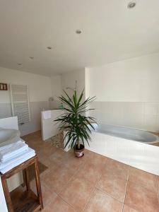 a bathroom with a tub and a plant in it at Gastezimmer Nahe Wesslinger See in Weßling