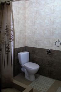 a bathroom with a toilet and a shower curtain at Bee Lucky Hostel and Tours in Yerevan