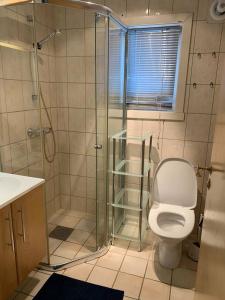 a bathroom with a toilet and a glass shower at Mosjøen Overnatting, Cm havigs gate 18 in Mosjøen