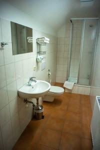 a bathroom with a sink and a shower and a toilet at Gästehaus Schulz in Schenkendöbern