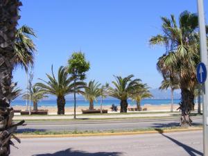 una calle con palmeras en la playa en Luci del Golfo, en Alghero