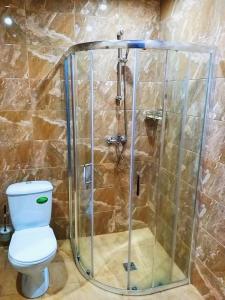 a bathroom with a toilet and a shower at Hotel Pushkin in Pskov