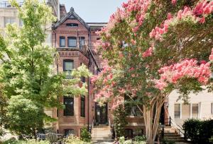 a building with pink flowering trees in front of it at Sojourn DuPont at The Circle in Washington