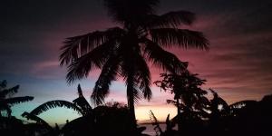 una palmera frente a una puesta de sol en SunSea Resort, en Guimarás