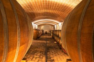 Fotografie z fotogalerie ubytování Agriturismo & Cantina Tenuta Casteani v destinaci Ribolla