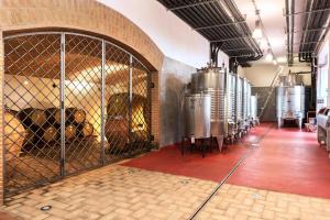 Fotografie z fotogalerie ubytování Agriturismo & Cantina Tenuta Casteani v destinaci Ribolla