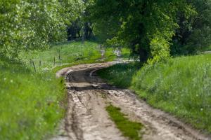Fotografia z galérie ubytovania Gościniec Zelówka v destinácii Wydminy