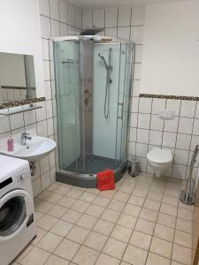 a bathroom with a shower and a washing machine at Ferienwohnung Buddha in Langelsheim +7 photos
