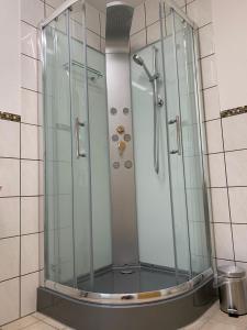 a shower with a glass enclosure in a bathroom at Ferienwohnung Buddha in Langelsheim