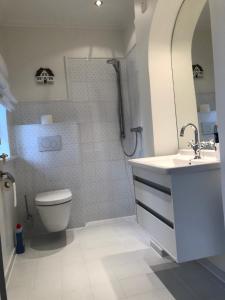 a bathroom with a shower and a sink and a toilet at Reethüs am Klintumer Moor in Leck +23 photos