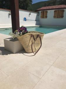 Bazén v ubytovaní Holiday Home chichichi alebo v jeho blízkosti