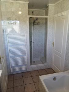 a bathroom with a shower and a sink at CHEZ MARTINE Appt climatisé 2 Chambres in Capbreton