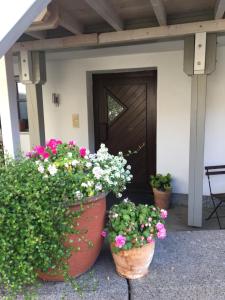 two large pots of flowers in front of a door at Altstadt Ferienwohnung Wagner in Limburg an der Lahn