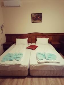 アセノヴグラトにあるGuest House Naniのベッド2台が隣同士に設置された部屋です。