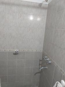 uma casa de banho com um chuveiro com azulejos em Abuela Chiquita em Ramallo