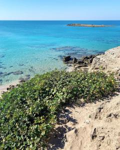 トッレ・サン・ジョヴァンニ・ウジェントにあるSalento Cecilia - solo settimane intere da sabato a sabatoの海辺の砂浜の植物群