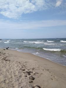 Playa de o cerca de este apartamento