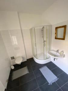 ein Bad mit einer Dusche, einem Waschbecken und einem WC in der Unterkunft Apartments Graz in Graz
