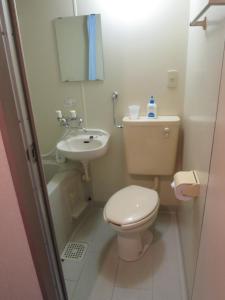 a small bathroom with a toilet and a sink at SappoLodge in Sapporo