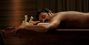 Hosté ubytování Eco Garden Resort & Heritage Cheruthuruthy Thrissur
