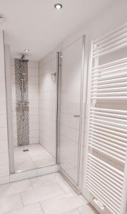 La salle de bains est pourvue d'une douche avec une porte en verre. dans l'établissement Ferienwohnung Fanny, à Dresde