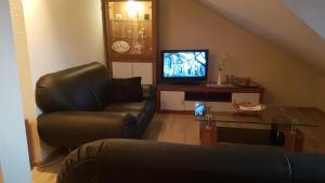 a living room with a couch and a television at Monteurwohnung Schinderhannes in Miehlen
