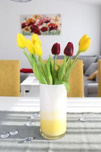 Fotografie z fotogalerie ubytování Luxury apartment Navi v destinaci Podstrana