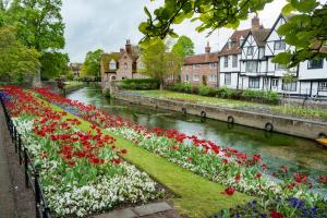 Jardí fora de The Marlowe - Beautiful house in the heart of Canterbury with Free Parking