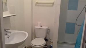 a small bathroom with a toilet and a sink at Studio Dijon Rue Pietonne in Dijon