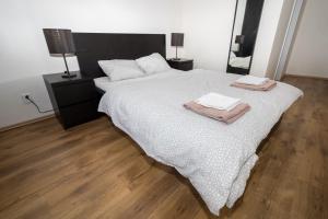 Apartment Belveder Brno tesisinde bir odada yatak veya yataklar