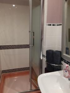 La salle de bains est pourvue d'une douche et d'un lavabo. dans l'établissement Chambre D'Hôtes avec petit Déjeuner, à Remilly-les-Pothées