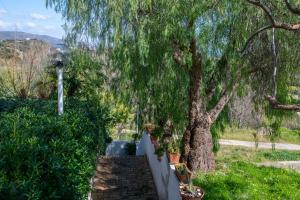 A garden outside Residence l'Ogliastro