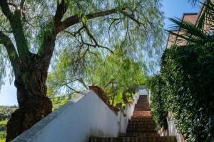 A garden outside Residence l'Ogliastro