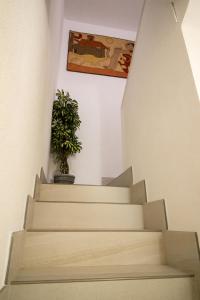 eine Treppe mit einer Topfpflanze an der Wand in der Unterkunft Casa con jardín a 5' de Aranda de Duero in Castrillo de la Vega