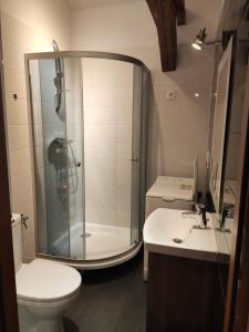 ein Badezimmer mit Dusche, Toilette und Waschbecken in der Unterkunft City-Center Apartment in Przemyśl