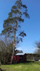 a tree standing next to a red barn at Le vitrail CHAMBRE Équipée sans service repas 1073 rue des carrières 50700 Yvetot bocage in Yvetot Bocage