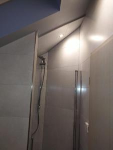 a bathroom with a shower with a light on the ceiling at Apartment-Design in Altenstadt