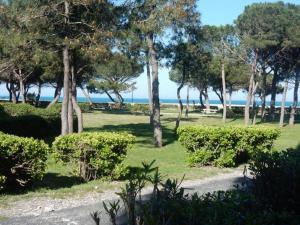 ein Park mit Bäumen und dem Ozean im Hintergrund in der Unterkunft T2 FRONT DE MER SUR LA PLAGE (ACCES PRIVE DIRECT PLAGE) VUE MER ET MONTAGNE in Argelès-sur-Mer