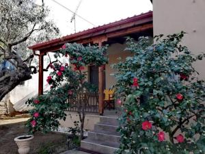 a house with roses in front of a porch at John and Tania's Garden in Prinos