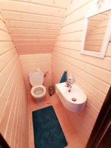 トシェンサチにあるDomki Zaciszeの小さなバスルーム(トイレ、シンク付)