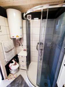 トシェンサチにあるDomki Zaciszeのバスルーム(シャワー、トイレ付)