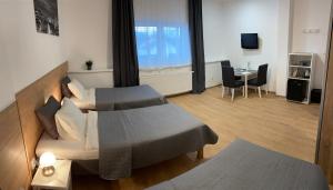 Televízia a/alebo spoločenská miestnosť v ubytovaní Frýdecká Apartments