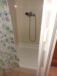 La salle de bains est pourvue d'une douche avec rideau de douche. dans l'établissement Apartmán Schovánek, à Harrachov