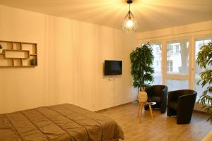 a bedroom with a bed and a tv and a potted plant at Appartement Tropical et JACUZZI Balnéothérapie Draveil in Draveil