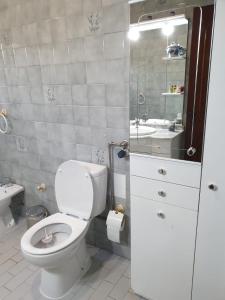 a bathroom with a toilet and a shower and a sink at Heart of Vieira Do Minho - T2 Apartment in Vieira do Minho