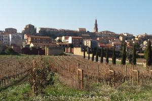 Zdjęcie z galerii obiektu BONITO ALOJAMIENTO EN BRIONES w mieście Briones